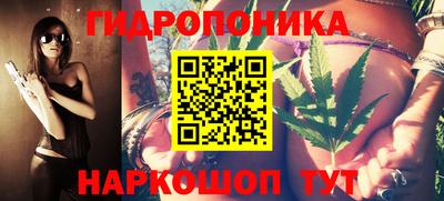 шишки Беслан