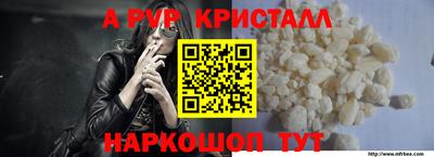 шишки Беслан